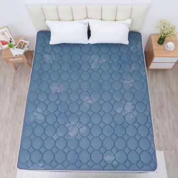 Đệm bông tinh khiết TH3 SH_DF25 304 - Sông Hồng Chính Hãng 